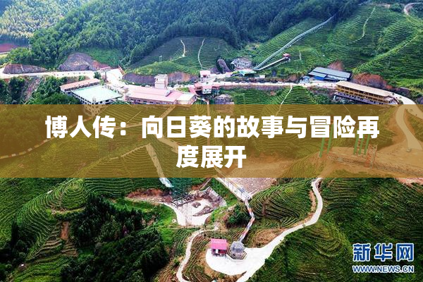博人传：向日葵的故事与冒险再度展开