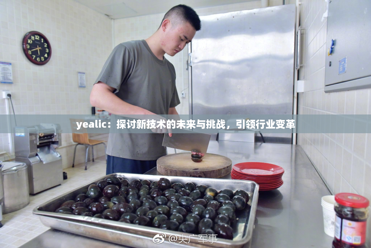 yealic：探讨新技术的未来与挑战，引领行业变革