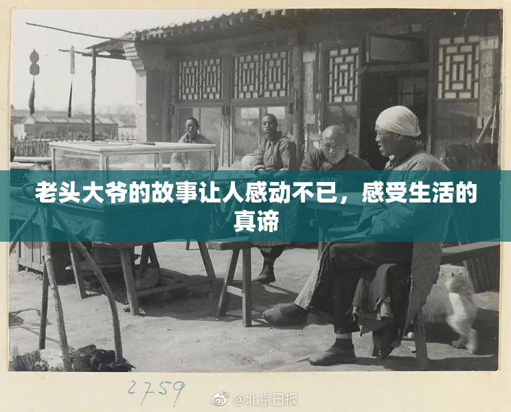 老头大爷的故事让人感动不已，感受生活的真谛