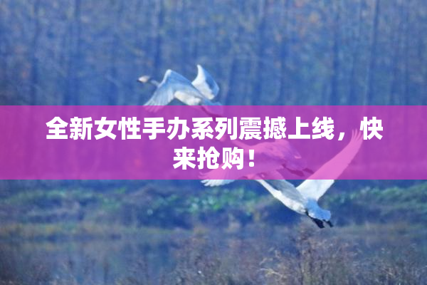 全新女性手办系列震撼上线，快来抢购！