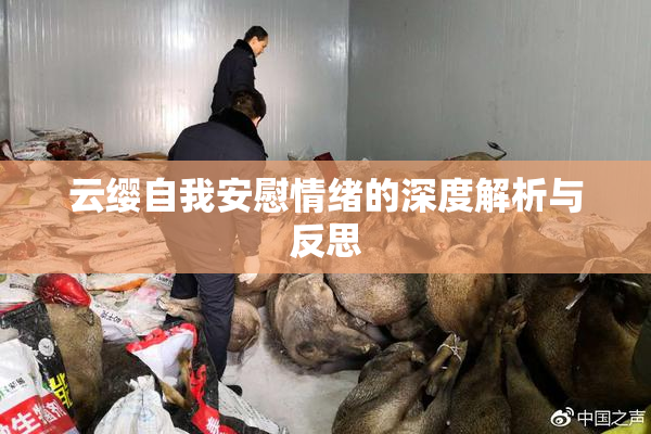 云缨自我安慰情绪的深度解析与反思