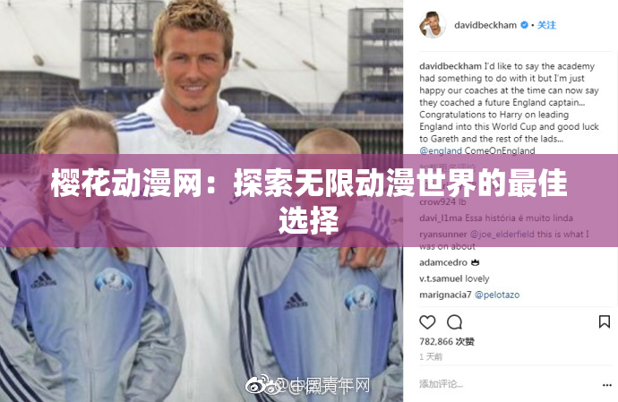 樱花动漫网：探索无限动漫世界的最佳选择