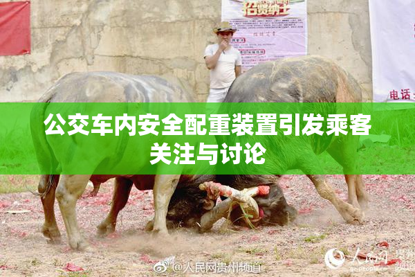 公交车内安全配重装置引发乘客关注与讨论