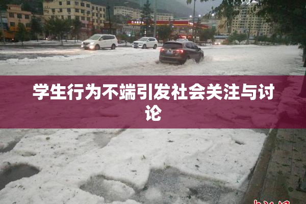学生行为不端引发社会关注与讨论