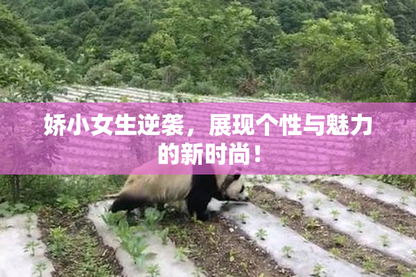 娇小女生逆袭，展现个性与魅力的新时尚！