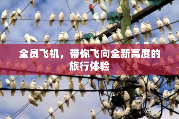 全员飞机，带你飞向全新高度的旅行体验