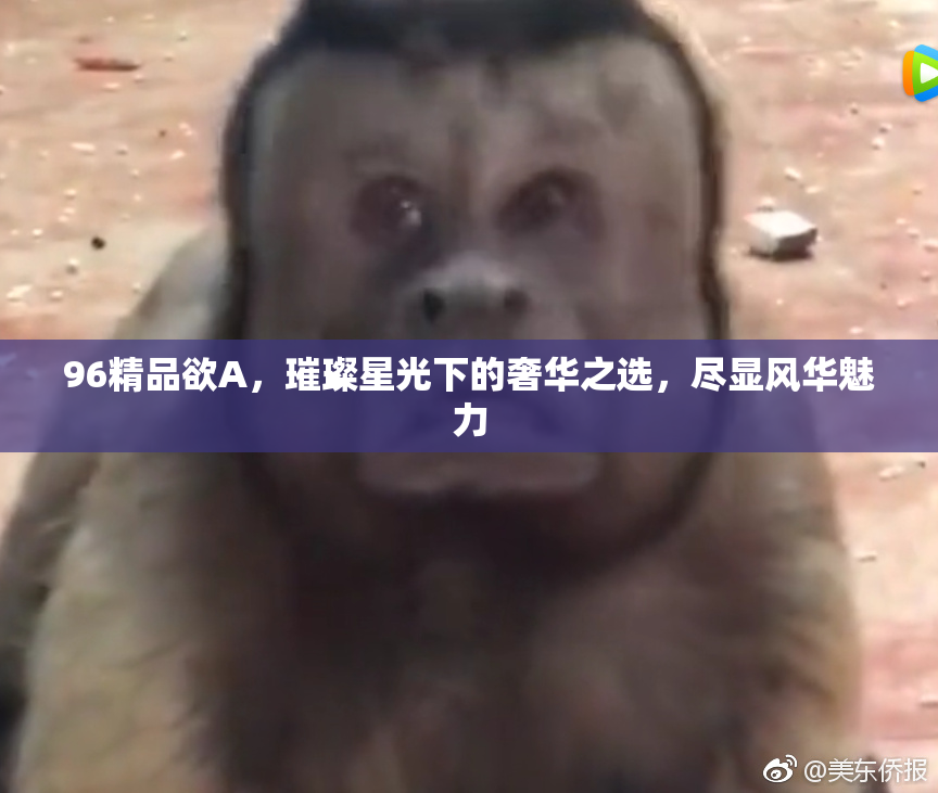 96精品欲A，璀璨星光下的奢华之选，尽显风华魅力