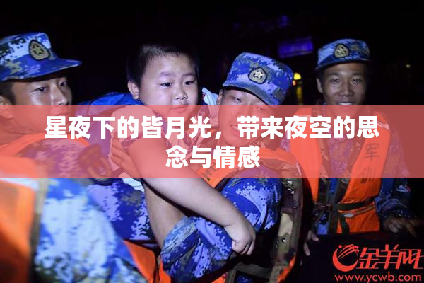 星夜下的皆月光，带来夜空的思念与情感