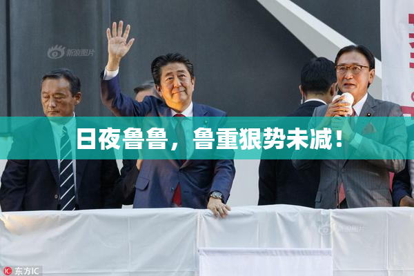 日夜鲁鲁，鲁重狠势未减！