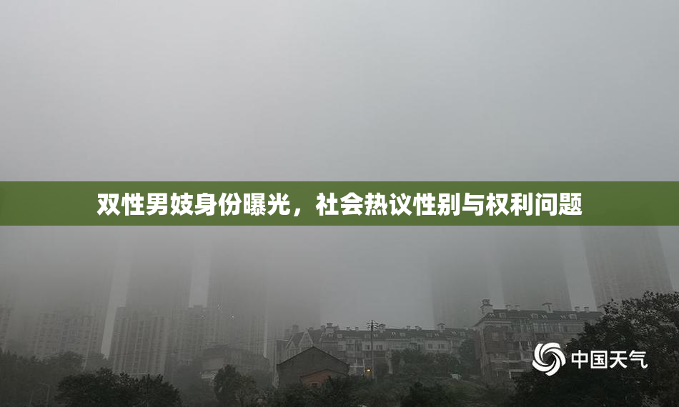 双性男妓身份曝光，社会热议性别与权利问题