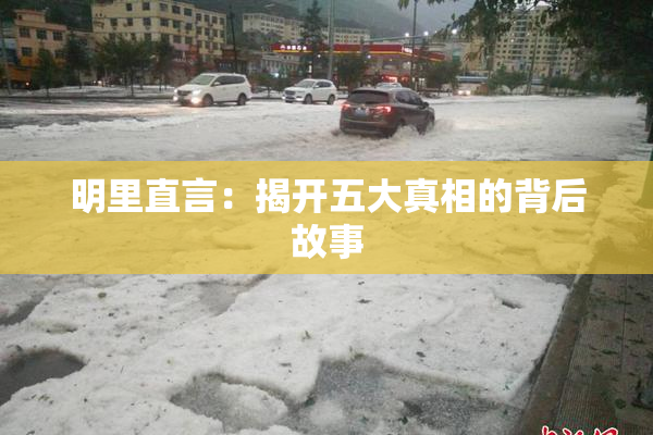 明里直言：揭开五大真相的背后故事