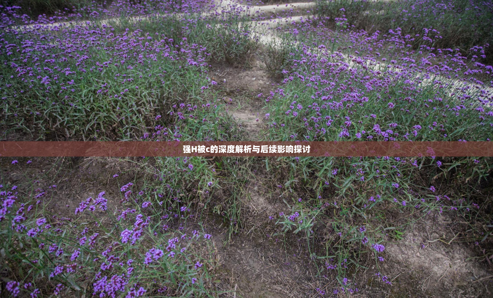 强H被c的深度解析与后续影响探讨