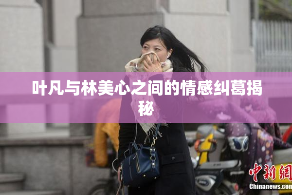 叶凡与林美心之间的情感纠葛揭秘