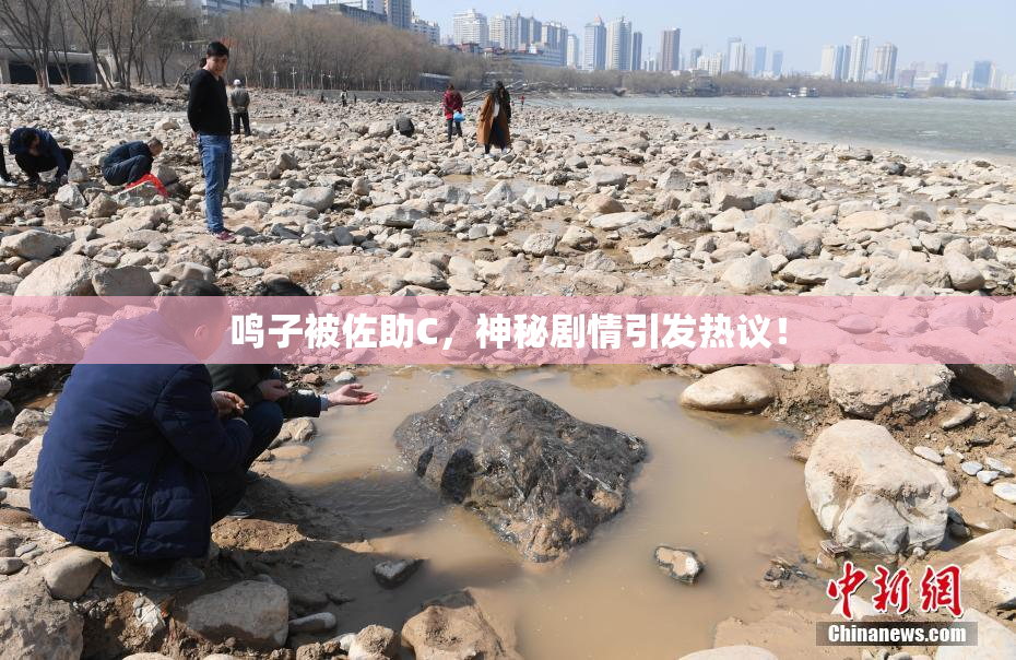 鸣子被佐助C，神秘剧情引发热议！
