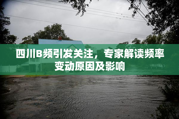 四川B频引发关注，专家解读频率变动原因及影响