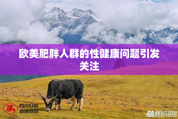 欧美肥胖人群的性健康问题引发关注