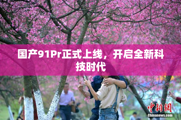 国产91Pr正式上线，开启全新科技时代