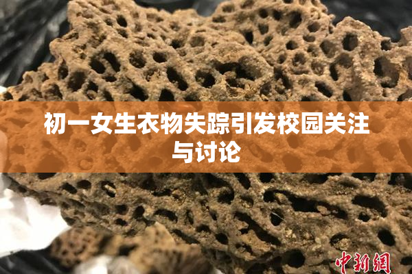 初一女生衣物失踪引发校园关注与讨论