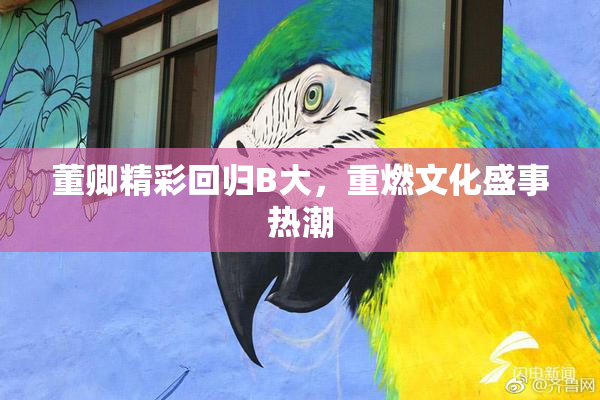 董卿精彩回归B大，重燃文化盛事热潮