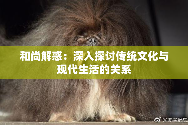 和尚解惑：深入探讨传统文化与现代生活的关系