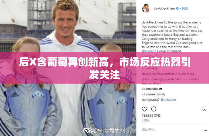 后X含葡萄再创新高，市场反应热烈引发关注