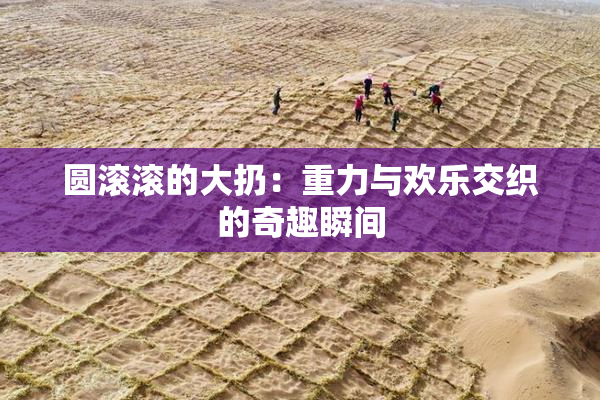 圆滚滚的大扔：重力与欢乐交织的奇趣瞬间