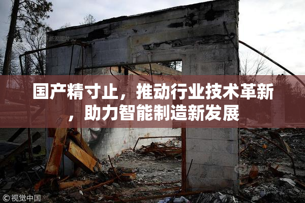 国产精寸止，推动行业技术革新，助力智能制造新发展