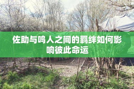 佐助与鸣人之间的羁绊如何影响彼此命运