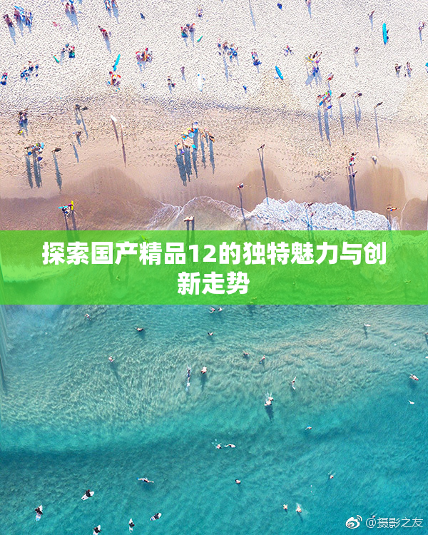 探索国产精品12的独特魅力与创新走势