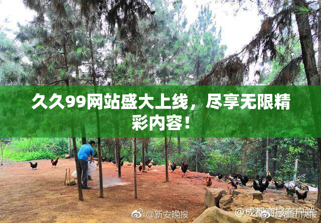 久久99网站盛大上线，尽享无限精彩内容！
