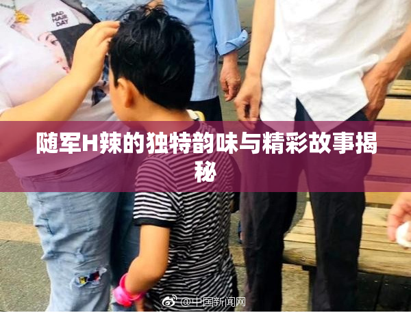 随军H辣的独特韵味与精彩故事揭秘