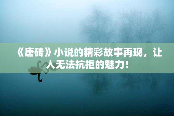 《唐砖》小说的精彩故事再现，让人无法抗拒的魅力！