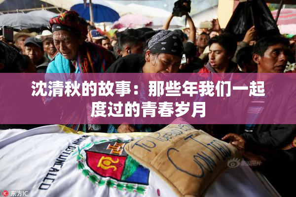 沈清秋的故事：那些年我们一起度过的青春岁月