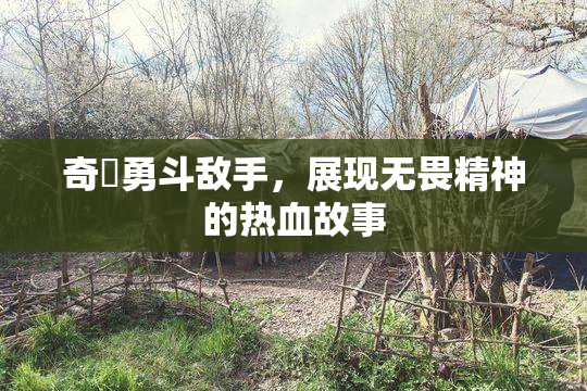 奇犽勇斗敌手，展现无畏精神的热血故事