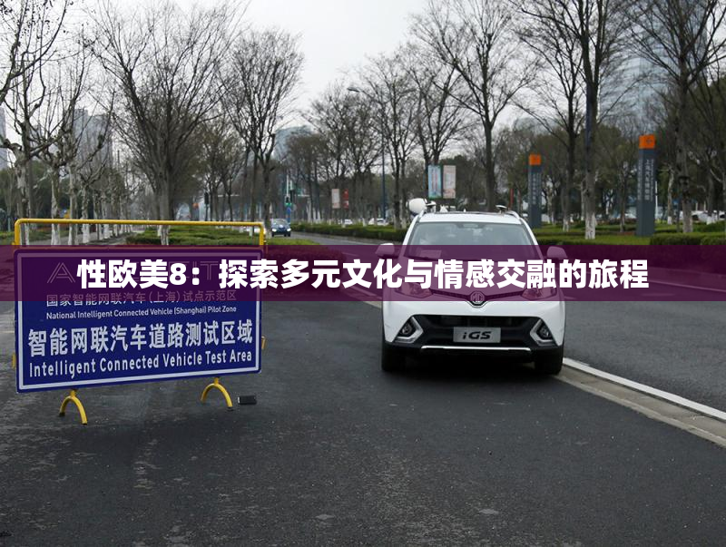 性欧美8：探索多元文化与情感交融的旅程