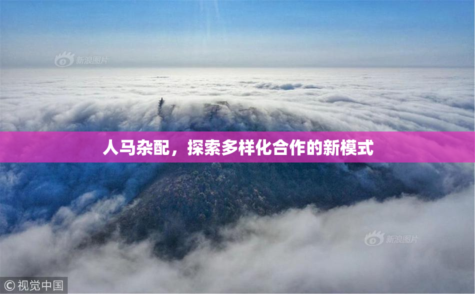 人马杂配，探索多样化合作的新模式