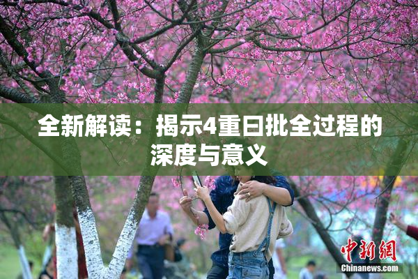 全新解读：揭示4重曰批全过程的深度与意义