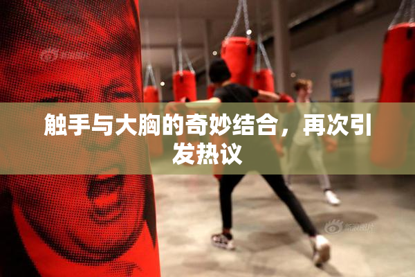 触手与大胸的奇妙结合，再次引发热议