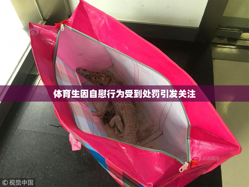 体育生因自慰行为受到处罚引发关注