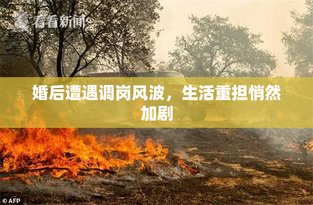 婚后遭遇调岗风波，生活重担悄然加剧