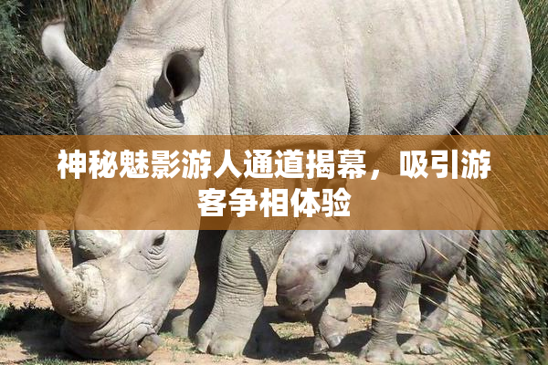 神秘魅影游人通道揭幕，吸引游客争相体验
