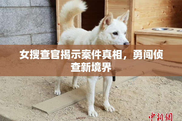 女搜查官揭示案件真相，勇闯侦查新境界