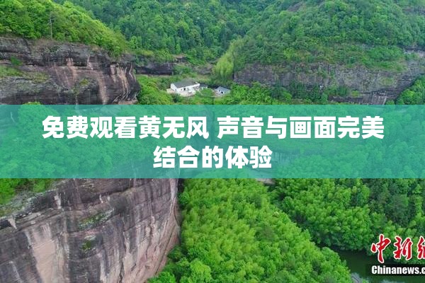 免费观看黄无风 声音与画面完美结合的体验