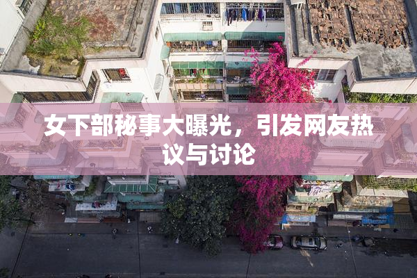 女下部秘事大曝光，引发网友热议与讨论