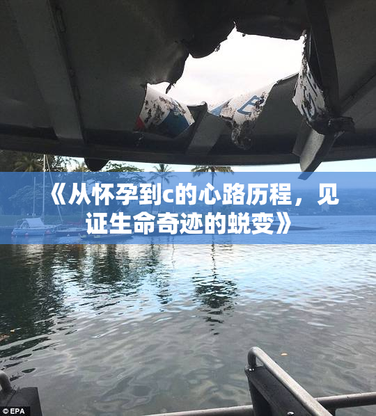 《从怀孕到c的心路历程，见证生命奇迹的蜕变》