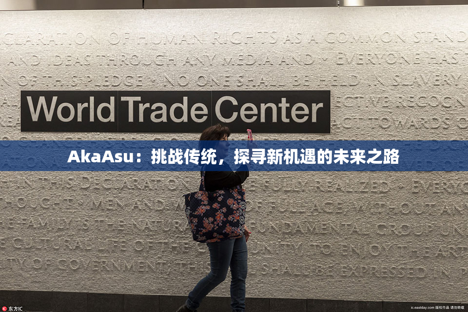 AkaAsu：挑战传统，探寻新机遇的未来之路