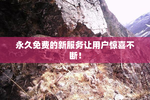 永久免费的新服务让用户惊喜不断！
