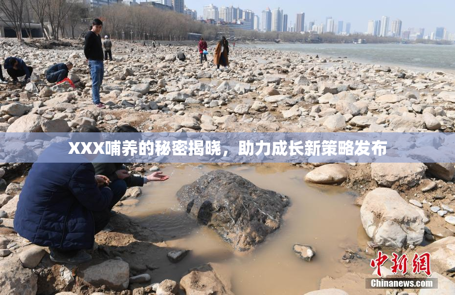 XXX哺养的秘密揭晓，助力成长新策略发布