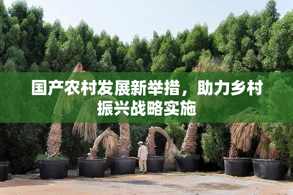 国产农村发展新举措，助力乡村振兴战略实施