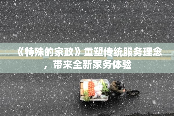 《特殊的家政》重塑传统服务理念，带来全新家务体验